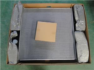 Radiador de plástico de aluminio 384/386 2008-2013 36" X 36" Rad7721Pa