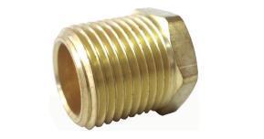 1/2"Nptf Male Hex-Head Plug